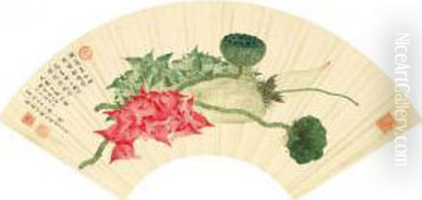 Fruits - view 1