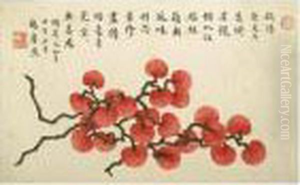 Lychee - view 1