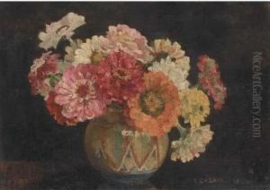 Zinnias