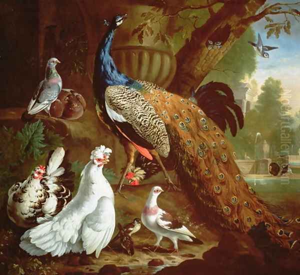 A Peacock in a Classical Landscape, 1719 - view 1