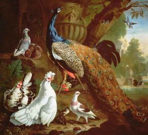 A Peacock in a Classical Landscape, 1719 by Pieter Casteels