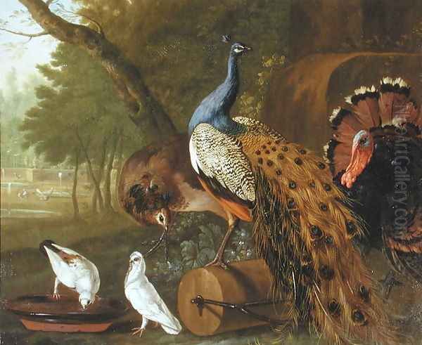An Assembly of Birds in a Classical Park, 1719 - view 1
