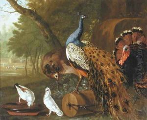 An Assembly of Birds in a Classical Park, 1719 by Pieter Casteels