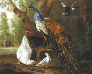 An Assembly of Birds in a Classical Park, 1719 2 by Pieter Casteels
