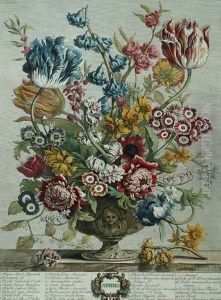 April, from 'Twelve Months of Flowers', by Robert Furber (c.1674-1756) by Pieter Casteels
