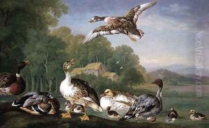 Wild Fowl by Pieter Casteels