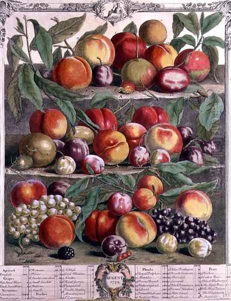 August, from 'Twelve Months of Fruits' - view 1