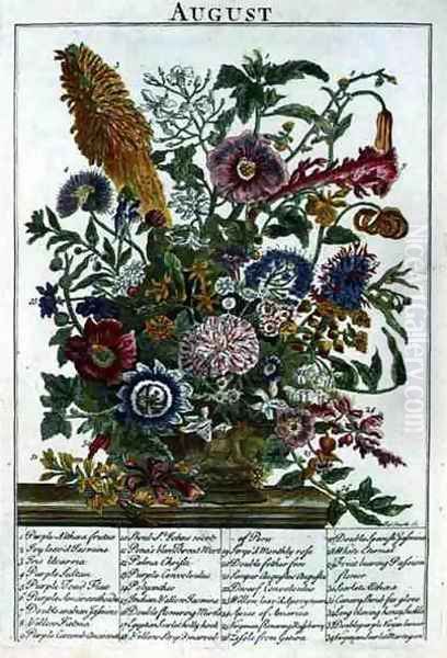 August, from 'The Flower Garden Displayed' - view 1