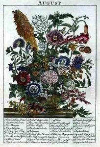 August, from 'The Flower Garden Displayed' by Pieter Casteels