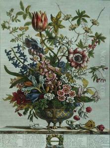 February, from `Twelve Months of Flowers by Pieter Casteels