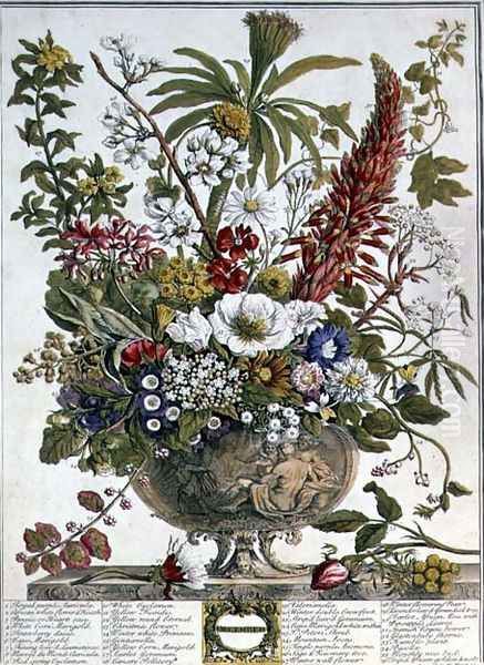 December, from 'Twelve Months of Flowers' - view 1