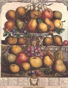December, from 'Twelve Months of Fruits' by Pieter Casteels