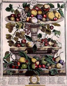 June, from 'Twelve Months of Fruits' by Pieter Casteels