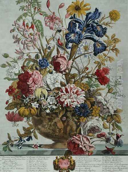 June, from 'Twelve Months of Flowers' - view 1