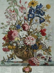 June, from 'Twelve Months of Flowers' by Pieter Casteels