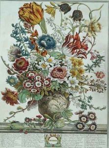 March, from 'Twelve Months of Flowers' by Pieter Casteels