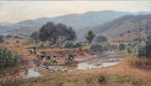 Paysage Au Gue Paysage Au Gue