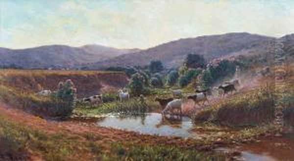 Le Monteydough Et La Vallee Du Ruisseau D'or, Environs De Bone - view 1