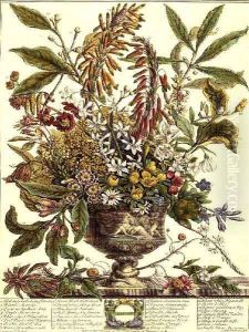 January, from `Twelve Months of Flowers' by Pieter Casteels