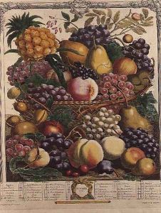 October, from 'Twelve Months of Fruits' by Pieter Casteels