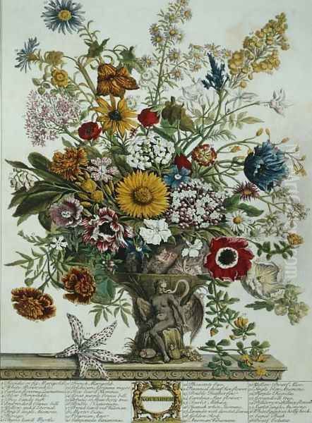 November, from 'Twelve Months of Flowers' - view 1