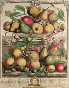 March, from 'Twelve Months of Fruits' by Pieter Casteels