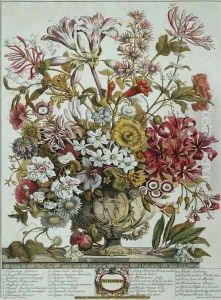 October, from 'Twelve Months of Flowers' by Pieter Casteels