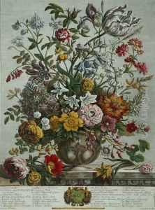 May, from 'Twelve Months of Flowers' by Pieter Casteels