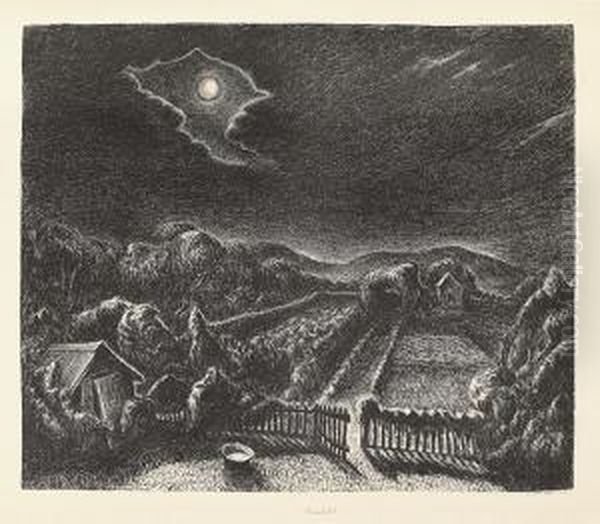Moonlight. - view 1