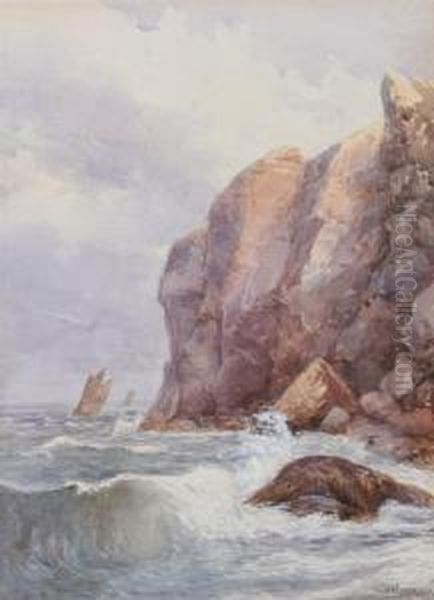 Waves On Rocky Coast - view 1
