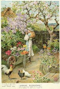 Spring Blossoms from the Pears Annual 1902 by William Stephen Coleman