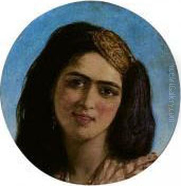 An Algerine - view 1