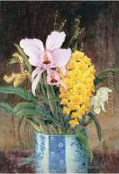 Orchids - view 1