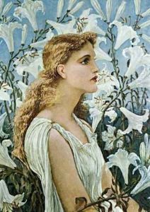 Lilies