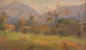 Paesaggio Paesaggio