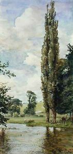 Bit of the Avon 1893