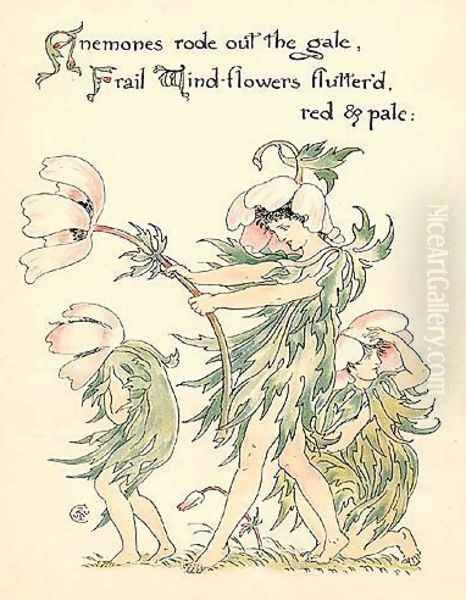 Anemones - view 1