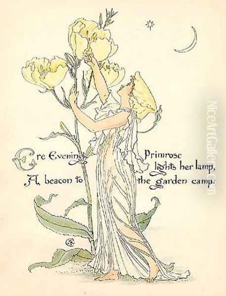 Primrose - view 1