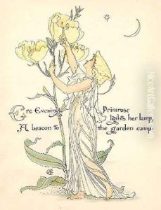 Primrose