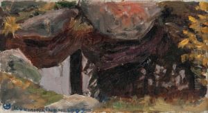 Viewfrom The Wilds. by Akseli Valdemar Gallen-Kallela
