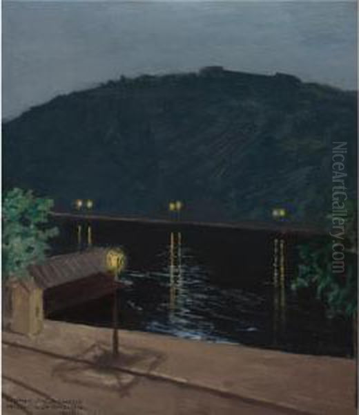 Oinen Donau Joki (night Lights Reflecting Off The Danube, Budapest) - view 1