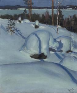 Lumimaisema Kuutamossa. by Akseli Valdemar Gallen-Kallela