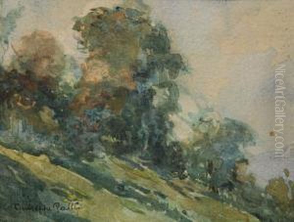 Bosco - view 1