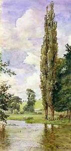 Bit of the Avon by Walter Crane
