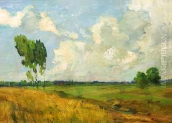 Paisaje Con Arboles Cielo Con Nubes - view 1