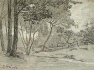 Arboleda. by Enrique Galwey Y De Garcia