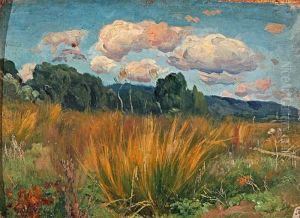 Paisaje Paisaje