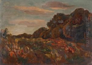 Paisaje