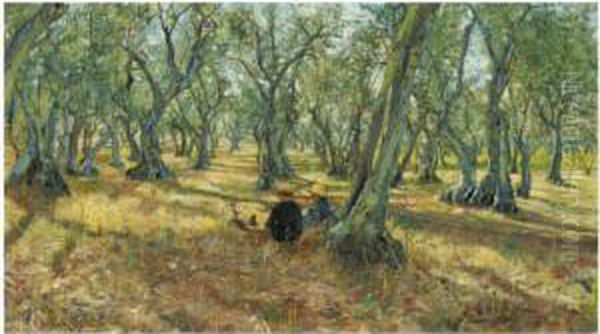 Fra Gli Ulivi - view 1