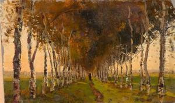 Skizze: Weg In Birkenallee. - view 1